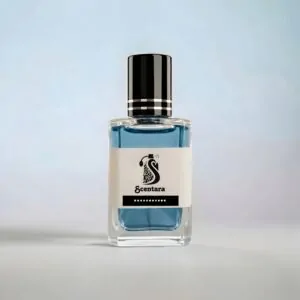 ওশ্যান-অ্যারোমা
