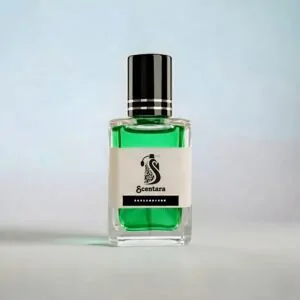 দ্যি ম্যানগ্রোভ