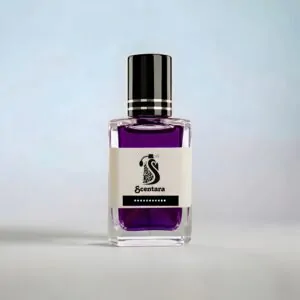 বোল্ড ভায়োলেট